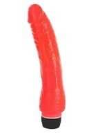 SUPER VIBRATOR IDEÁLNY PRE HORÚCU STAROSTLIVOSŤ 13001