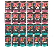 Rafi Junior DolinaNoteci mix príchutí 400g, 24 kusov