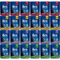 Vlhké krmivo Brit Cat MIX OF FLAVORS pre mačky 24x100g vrecúška