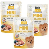 BRIT CARE MINI RABBIT&SALMON PRE PSOV 24x85g