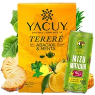 Fruit Yerba Mate Set Ananás 500g + Nápoj 330ml