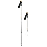 Trekingové palice Nordic Walking Walking palice