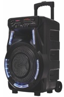 Manta SPK5033 Bluetooth Karaoke Radio reproduktor