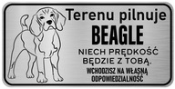 Pozor Dog Beagle z nerezovej ocele