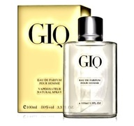 ACQUA ID GIO GIQ POUR HOMME | Pánsky parfém 100 ml