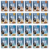 BRIT FAMILY Plate Gravy Krmivo pre mačky MIX 24x85g