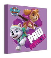 Obrazy na stenu Paw Patrol Paw Patrol Skye Everest Obraz na plátne 30x30 cm