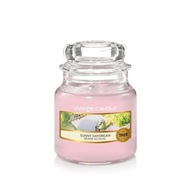 Sunny Daydream Yankee Candle - malá sviečka