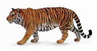 SIBERIAN TIGER - CollectA - 88789 - XL