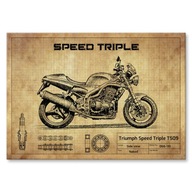 Kovový plagát Triumph Speed ​​​​Triple Gift L