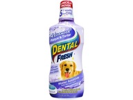 DENTAL FRESH STONE SEDIMENT 503ml ústna hygiena