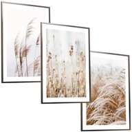 30x40 OBRAZY RÁMOVÉ PLAGÁTY BOHO RÁM PAMPAS GRASS