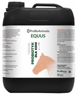 Probiotiká pre kone 5L ProBiotics Animalia