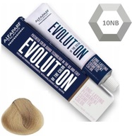 Alfaparf Evolution Of The Color Paint 60 ml č. 10NB