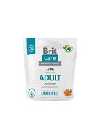 BRIT CARE GRAIN DOSPELÝ LOSOS ZDARMA 1 kg