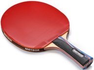 Raketa na stolný tenis Ping Pong Paddle Mistral