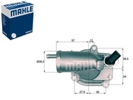 TERMOSTAT DB 87C W210