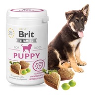 BRIT VITAMINS PUPPY FUNKČNÝ VITAMÍNOVÝ DOPLNOK PRE ŠTEŇATÁ 150g