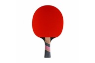 EXCEL CARBON 3000 CORNILLEAU PINGPONG BALET