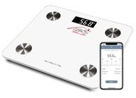 TECH-MED BLUETOOTH ANALYTICKÁ VÁHA 180 kg 12v1