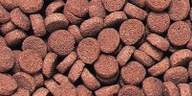 Hikari Tropical Sinking Carnivore Pellets 1kg