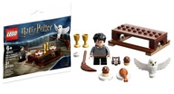 LEGO Harry Potter Harry Potter a Hedviga 30420
