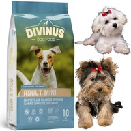 Divinus Adult Mini pre malé plemená YORK MOPS 10kg