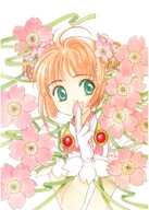 Anime Manga Cardcaptor Sakura ccs_737 A2 plagát