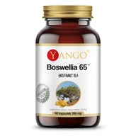 Boswellia 65 - Kadidlo (60 kapsúl) Yango