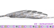 LED pás 5M 12V 24W 2835 UV ULTRAVIOLET PREMIUM