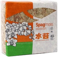 Besgrow Spagmoss BLENDED Sphagnum sphagnum moss 40 l