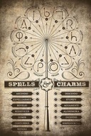 Plagát Harry Potter Spells Charms 61x91,5 cm