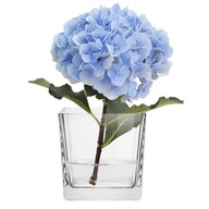 Dekoratívna nádoba, váza Daisy TREND FOR HOME