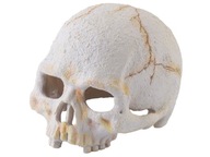 Dekorácia do terária ľudskej lebky MINI Primate Skull EXO TERRA EX-9265