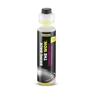 KARCHER LETNÝ SPREJ TEKUTÉ KONCENTRÁT 250ML=25L