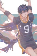 Anime Manga plagát Haikyuu hy_029 A1+