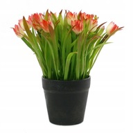 UMELÝ KVET Tulipán 20CM RÔZNE FARBY