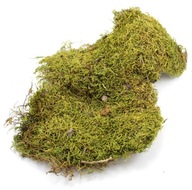 MECH v plátoch FLAT MOSS 200g