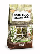 GOTU KOLA 50g - sušená bylina KONCENTRÁCIA PAMÄTI