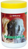 GUMOSIL B s katalyzátorovým formovacím silikónom 1kg