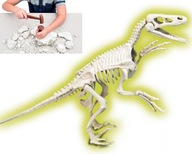 KREATÍVNE HRAČKY experimentujú DINOSAUR VYROBENÝ ZO SADRY