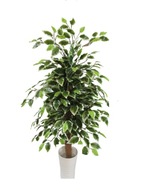 Umelý stromček Ficus Benjamina kvet 100 cm