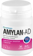 AMYLAN AD 30 tab. zlyhanie pankreasu