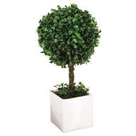 Umelý buxus v 18 cm črepníku