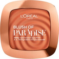 LOREAL LIFE'S A PEACH Blush 01 PEACH ADDICT 9g