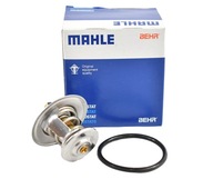 Termostat Behr Mahle TX1587D TX 15 87D Vw Audi