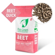 Pro-Linen Beet Quick 20 kg repná dužina