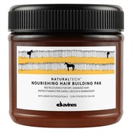 Maska Davines Naturaltech Hair Building Pak Mask 250 ml