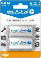 2x BATÉRIE C R14 EverActive 5000mAh