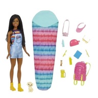 Barbie It Takes Two Brooklyn Camping Doll HDF74